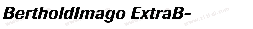 BertholdImago ExtraB字体转换